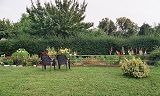 Pension Königs Wusterhausen Pension Lorenz